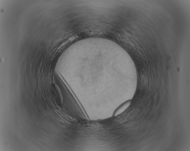 X0000087351250200705181117