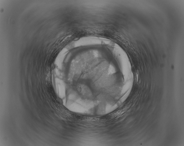 X0000087351251200705181117
