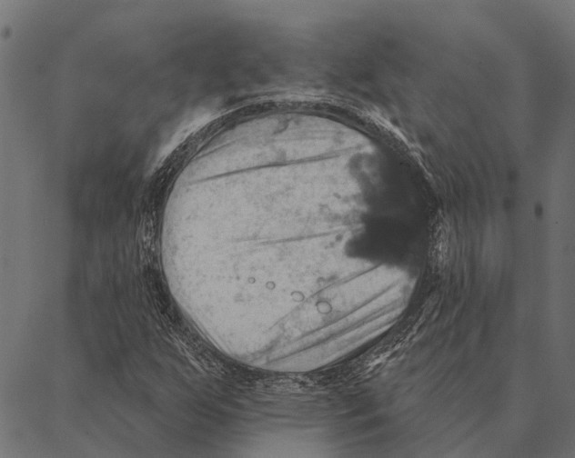 X0000087351255200705181117