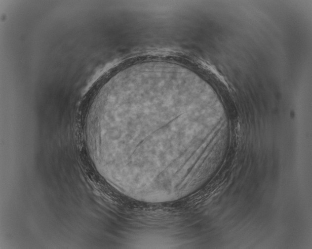 X0000087351256200705181117