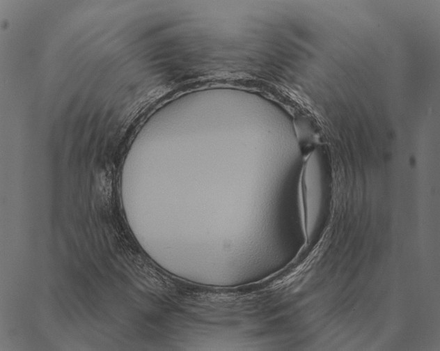 X0000087351257200705181117