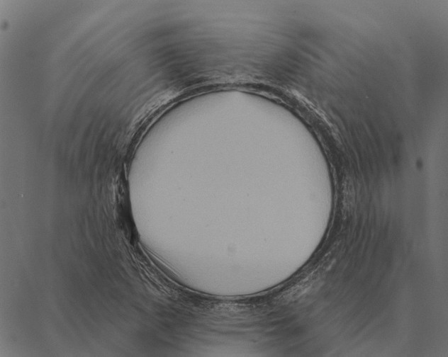 X0000087351265200705181117