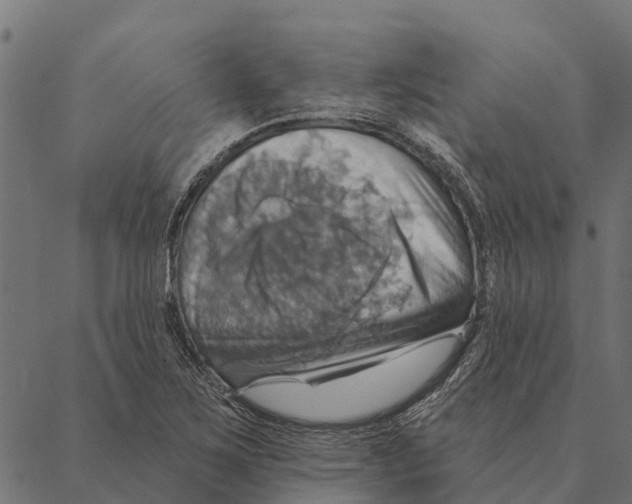 X0000087351267200705181117