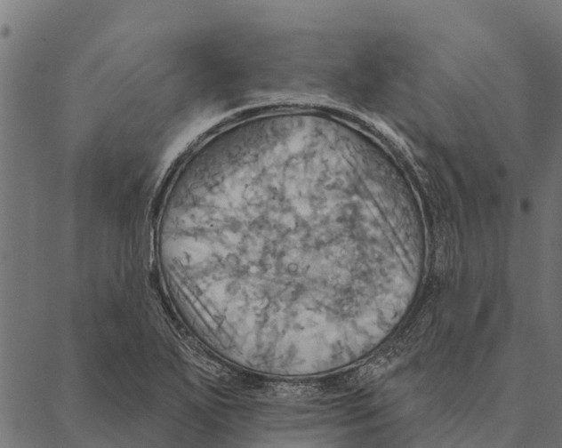 X0000087351271200705181117