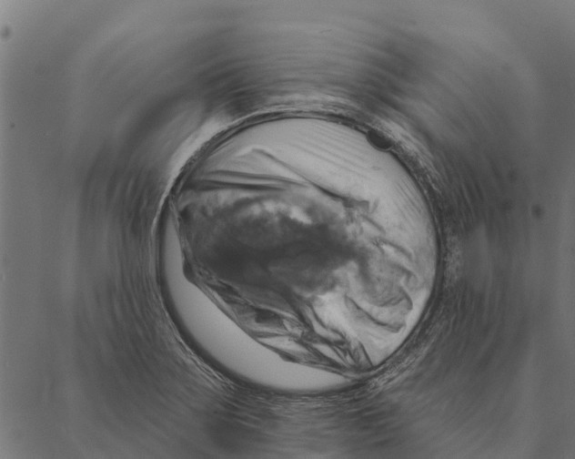 X0000087351275200705181117