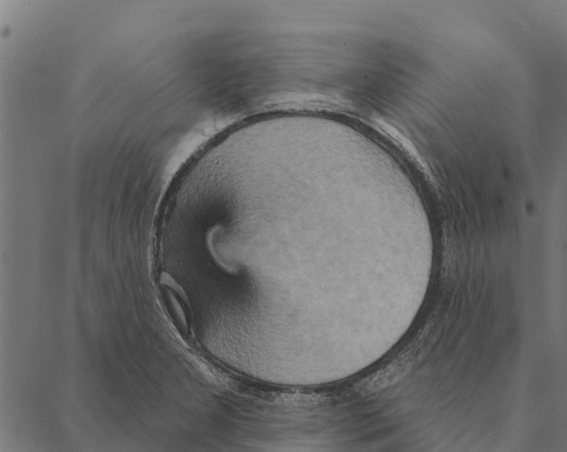 X0000087351277200705181117