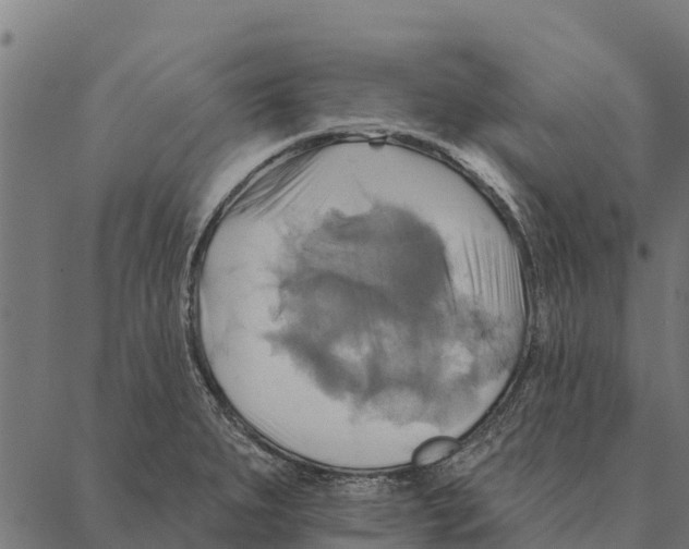 X0000087351279200705181117
