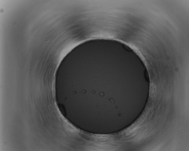 X0000087351295200705181117