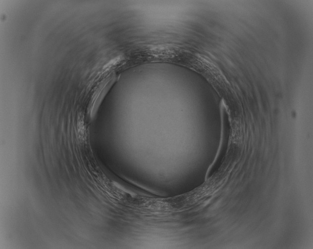 X0000087351298200705181116