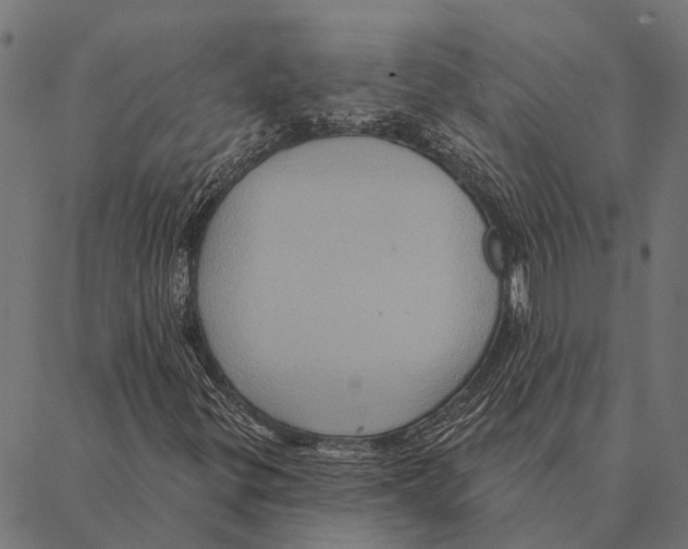 X0000087351299200705181116