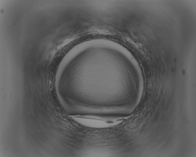 X0000087351303200705181116