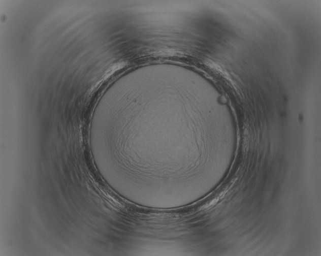 X0000087351305200705181116