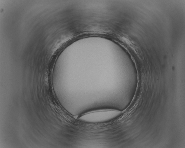X0000087351307200705181116
