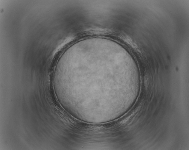 X0000087351309200705181116