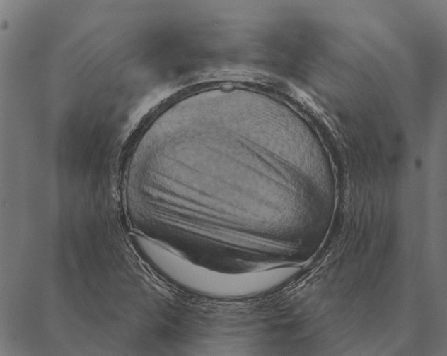X0000087351312200705181116