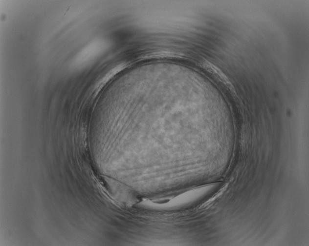 X0000087351321200705181116