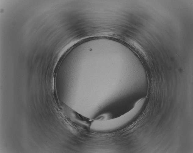 X0000087351324200705181116