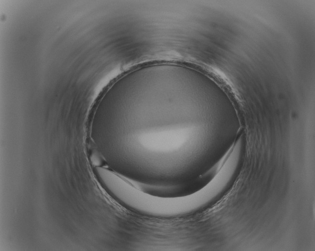X0000087351326200705181116