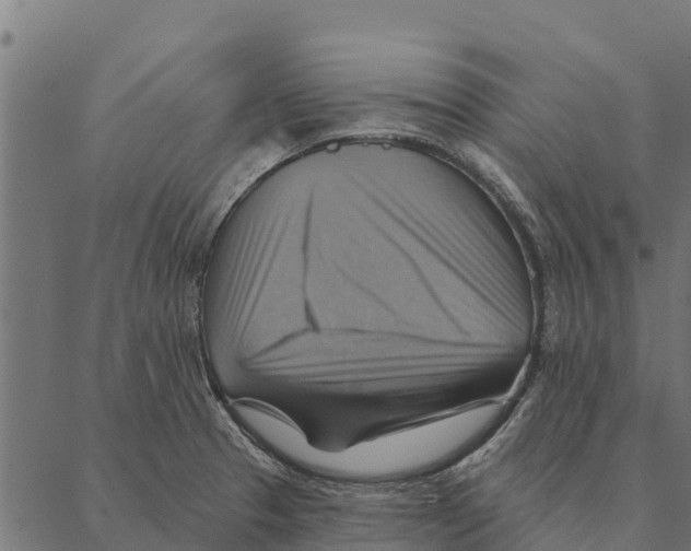 X0000087351329200705181116