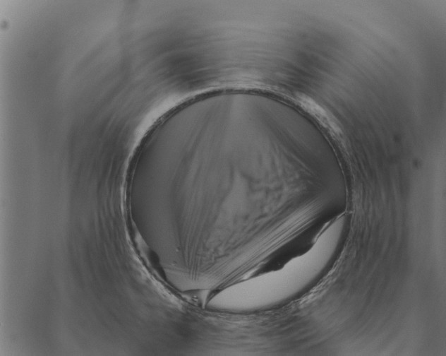 X0000087351334200705181117