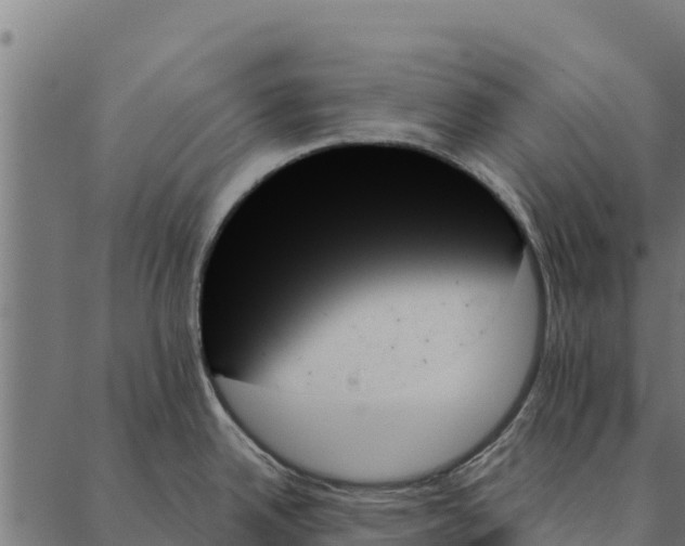 X0000087351342200705181117