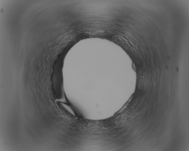 X0000087351345200705181116