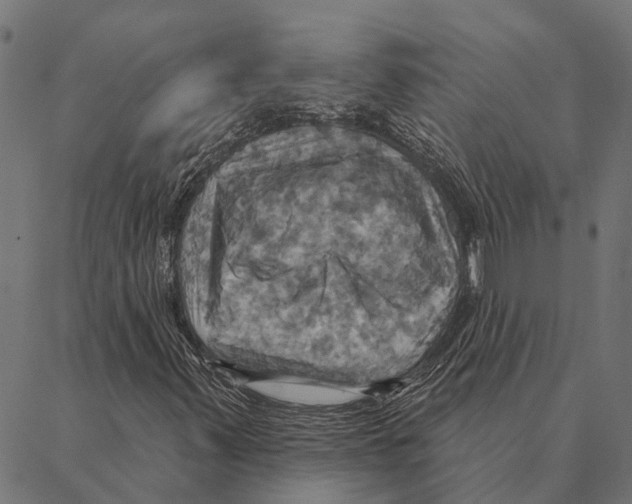 X0000087351347200705181116