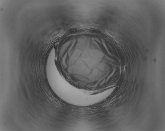 X0000087351348200705181116