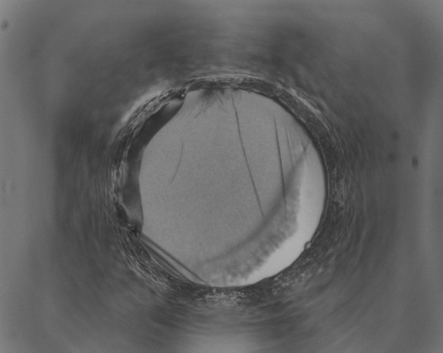 X0000087351351200705181116