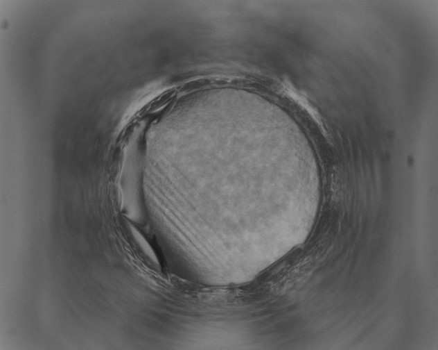 X0000087351352200705181116