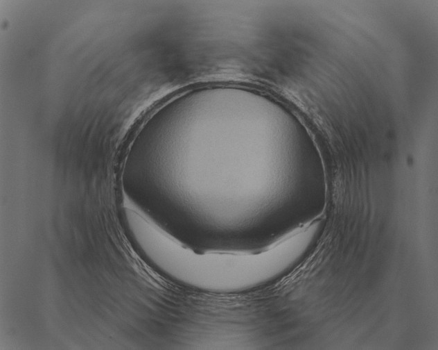 X0000087351356200705181116