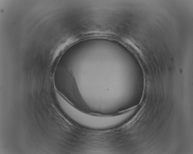 X0000087351357200705181116