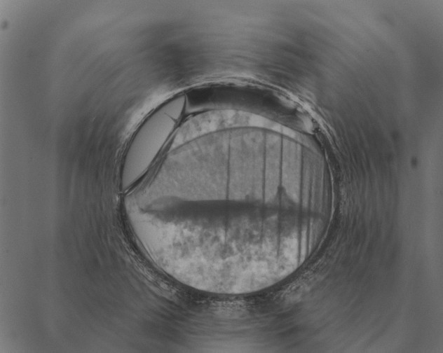 X0000087351363200705181116