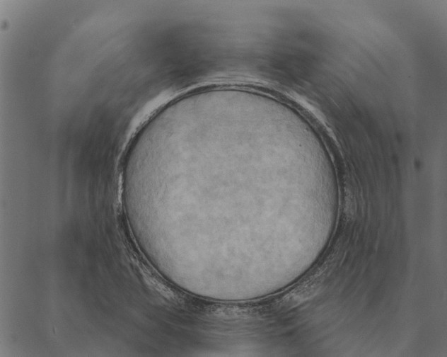 X0000087351366200705181116