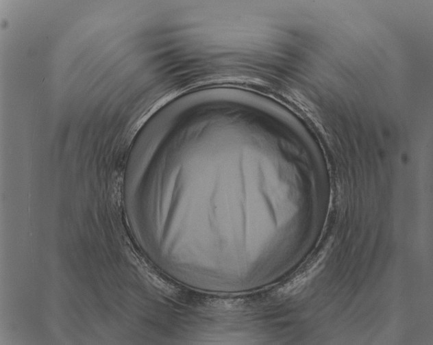 X0000087351369200705181116