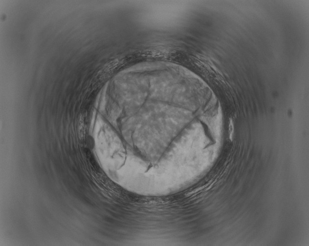 X0000087351395200705181114