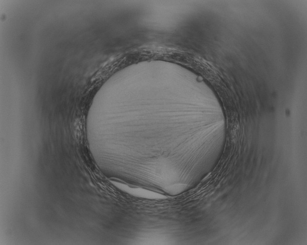 X0000087351397200705181114