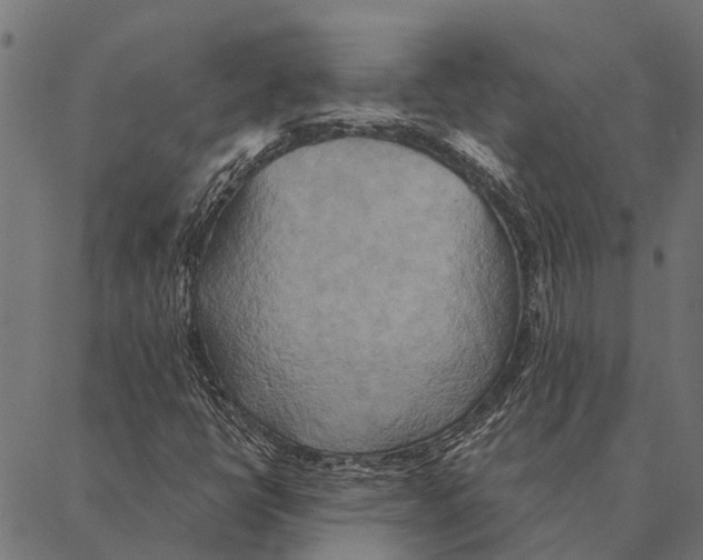 X0000087351398200705181114