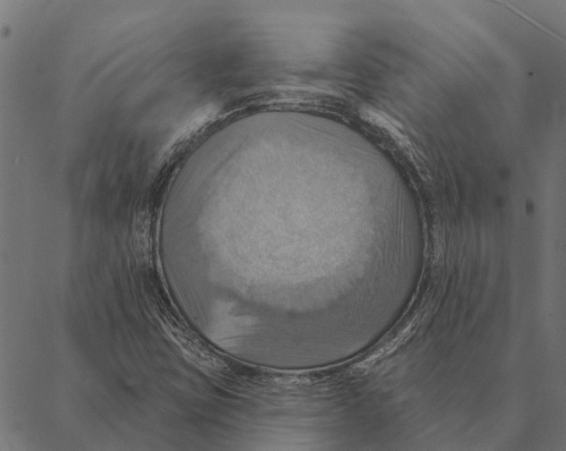 X0000087351403200705181115