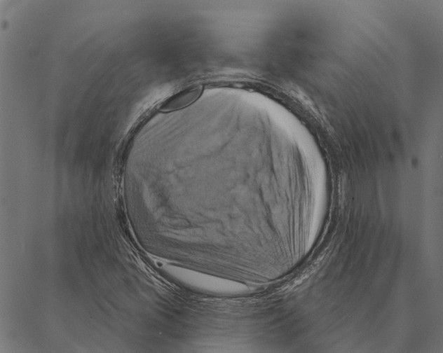 X0000087351405200705181115