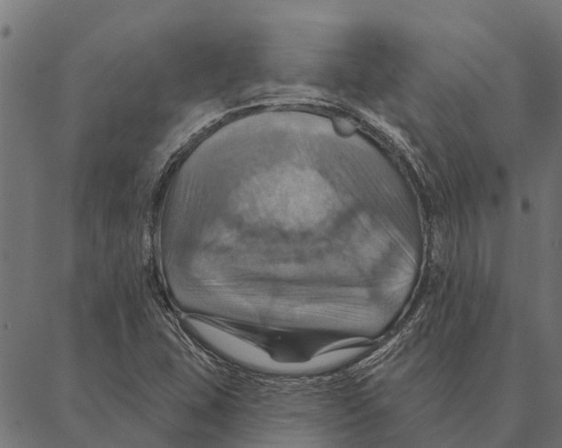 X0000087351407200705181115