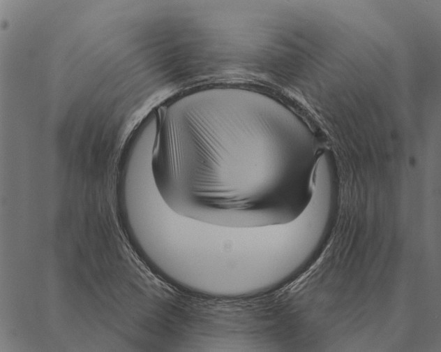 X0000087351410200705181115