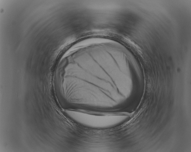 X0000087351411200705181115