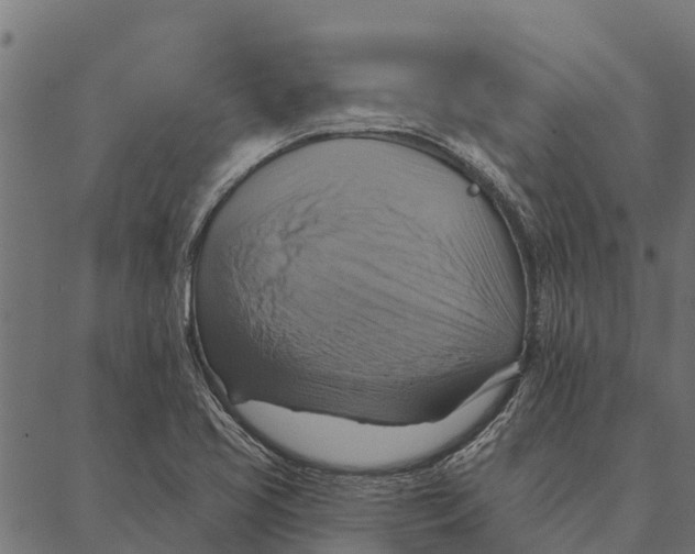 X0000087351413200705181115