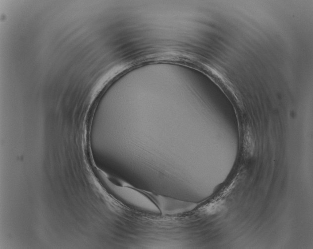 X0000087351418200705181115