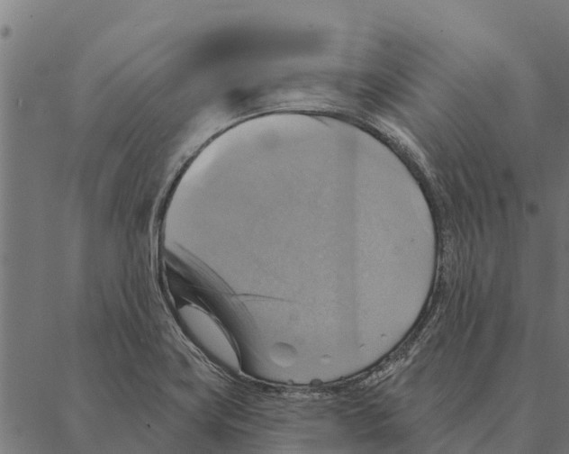 X0000087351419200705181115
