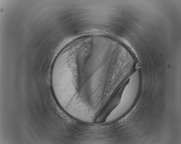 X0000087351421200705181115
