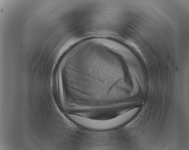 X0000087351424200705181115