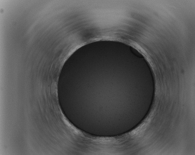 X0000087351433200705181115