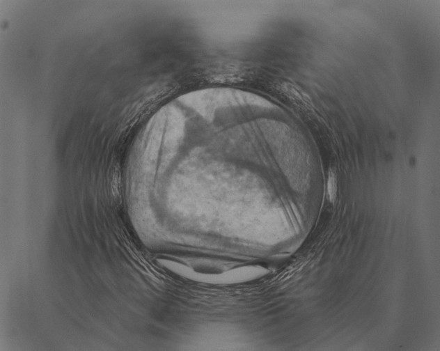 X0000087351444200705181114